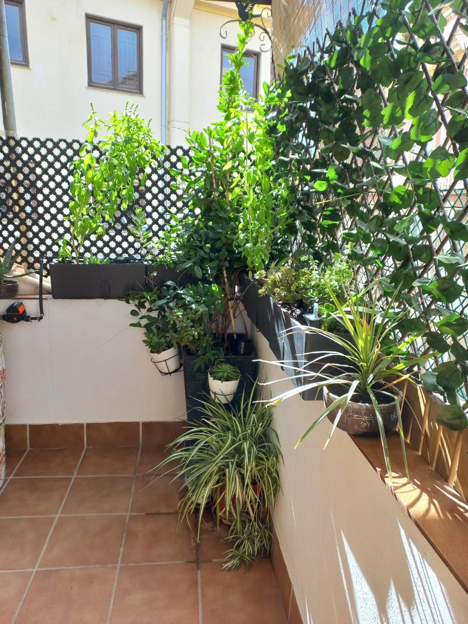Apartmán Atico Exclusivo En El Centro De Granada Exteriér fotografie